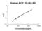 Aminoacylase 1 antibody, EK2140, Boster Biological Technology, Enzyme Linked Immunosorbent Assay image 