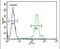 Ermin antibody, PA5-24818, Invitrogen Antibodies, Flow Cytometry image 