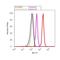 Amiloride-sensitive sodium channel subunit alpha antibody, PA1-920A, Invitrogen Antibodies, Flow Cytometry image 