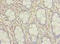 Transmembrane Protein 154 antibody, A63592-100, Epigentek, Immunohistochemistry paraffin image 