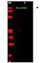 Slit Guidance Ligand 2 antibody, NB600-881, Novus Biologicals, Western Blot image 