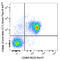 Carcinoembryonic Antigen Related Cell Adhesion Molecule 1 antibody, 134524, BioLegend, Flow Cytometry image 