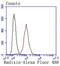 Radixin antibody, NBP2-67584, Novus Biologicals, Flow Cytometry image 