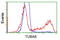 Tubulin Alpha 8 antibody, TA501123, Origene, Flow Cytometry image 