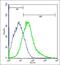 G Protein Subunit Alpha 15 antibody, orb156987, Biorbyt, Flow Cytometry image 