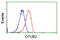 OTU Deubiquitinase, Ubiquitin Aldehyde Binding 2 antibody, GTX83952, GeneTex, Flow Cytometry image 