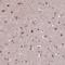 WD Repeat Domain 17 antibody, HPA054501, Atlas Antibodies, Immunohistochemistry frozen image 