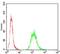 Ezrin antibody, NBP2-52464, Novus Biologicals, Flow Cytometry image 