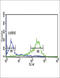 Hyaluronan And Proteoglycan Link Protein 1 antibody, abx034517, Abbexa, Flow Cytometry image 