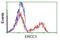 ERCC Excision Repair 1, Endonuclease Non-Catalytic Subunit antibody, NBP1-47733, Novus Biologicals, Flow Cytometry image 