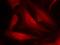 Cell Division Cycle 25C antibody, GTX50689, GeneTex, Immunocytochemistry image 