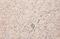 SRBC antibody, GTX113627, GeneTex, Immunohistochemistry paraffin image 