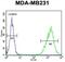 Tafazzin antibody, GTX81015, GeneTex, Flow Cytometry image 