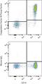 Coagulation Factor III, Tissue Factor antibody, FAB23391A, R&D Systems, Flow Cytometry image 