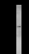 ATP Binding Cassette Subfamily F Member 1 antibody, LS-C342294, Lifespan Biosciences, Immunoprecipitation image 