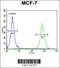 Rho GTPase-activating protein 44 antibody, 55-317, ProSci, Flow Cytometry image 