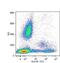 Major Histocompatibility Complex, Class II, DR Beta 1 antibody, MA1-19427, Invitrogen Antibodies, Flow Cytometry image 