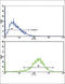 Enoyl-CoA Hydratase And 3-Hydroxyacyl CoA Dehydrogenase antibody, abx034038, Abbexa, Western Blot image 