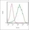 Desmoglein 2 antibody, orb156575, Biorbyt, Flow Cytometry image 