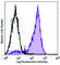 Lymphocyte antigen 6K antibody, 151304, BioLegend, Flow Cytometry image 