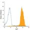 Forkhead Box P1 antibody, IC45341A, R&D Systems, Flow Cytometry image 