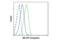 Bruton Tyrosine Kinase antibody, 14192S, Cell Signaling Technology, Flow Cytometry image 