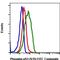 p53 antibody, MA5-28078, Invitrogen Antibodies, Flow Cytometry image 