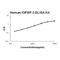 Insulin Like Growth Factor Binding Protein 3 antibody, EK0386, Boster Biological Technology, Enzyme Linked Immunosorbent Assay image 