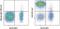 CD5 Molecule antibody, 25-0059-41, Invitrogen Antibodies, Flow Cytometry image 