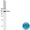 Neural cell adhesion molecule L1-like protein antibody, AF2147, R&D Systems, Western Blot image 