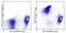 CD5 Molecule antibody, 45-0051-80, Invitrogen Antibodies, Flow Cytometry image 