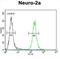 Scavenger Receptor Class F Member 2 antibody, abx025774, Abbexa, Flow Cytometry image 