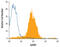 EPH Receptor B4 antibody, MAB3038, R&D Systems, Flow Cytometry image 