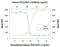 C-X-C Motif Chemokine Ligand 6 antibody, AF333, R&D Systems, Western Blot image 