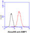 Aminoacyl TRNA Synthetase Complex Interacting Multifunctional Protein 1 antibody, GTX57649, GeneTex, Flow Cytometry image 