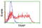 TRAF-interacting protein antibody, TA800074, Origene, Flow Cytometry image 