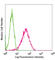 Podoplanin antibody, 127401, BioLegend, Flow Cytometry image 