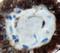 Galectin 3 antibody, LS-C312048, Lifespan Biosciences, Immunohistochemistry frozen image 