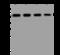 TERF2 Interacting Protein antibody, 207230-T34, Sino Biological, Western Blot image 