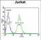 Branched Chain Keto Acid Dehydrogenase E1 Subunit Alpha antibody, PA5-49593, Invitrogen Antibodies, Flow Cytometry image 