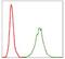 Neurofilament Light antibody, GTX60544, GeneTex, Flow Cytometry image 