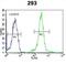 Ataxin 7 Like 3B antibody, abx025576, Abbexa, Flow Cytometry image 