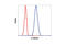 Tubulin antibody, 2128L, Cell Signaling Technology, Flow Cytometry image 