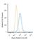 Paired Box 6 antibody, NBP2-47915PE, Novus Biologicals, Flow Cytometry image 