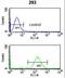 Survival Motor Neuron Domain Containing 1 antibody, LS-C161316, Lifespan Biosciences, Flow Cytometry image 