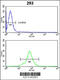 Nas7 antibody, 61-592, ProSci, Immunofluorescence image 