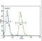 ETS Variant 5 antibody, LS-C167846, Lifespan Biosciences, Flow Cytometry image 