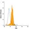 Snail Family Transcriptional Repressor 2 antibody, IC7408G, R&D Systems, Flow Cytometry image 