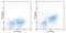 Activated Leukocyte Cell Adhesion Molecule antibody, 12-1661-82, Invitrogen Antibodies, Flow Cytometry image 