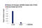 Vitamin D Receptor antibody, 12550S, Cell Signaling Technology, Chromatin Immunoprecipitation image 